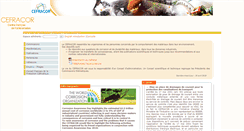 Desktop Screenshot of cefracor.org